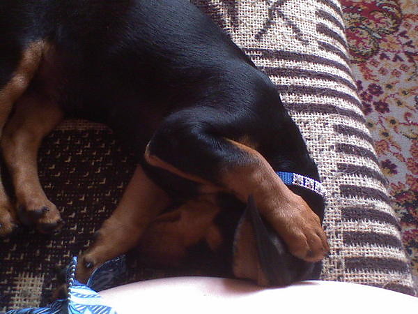 Misia :D