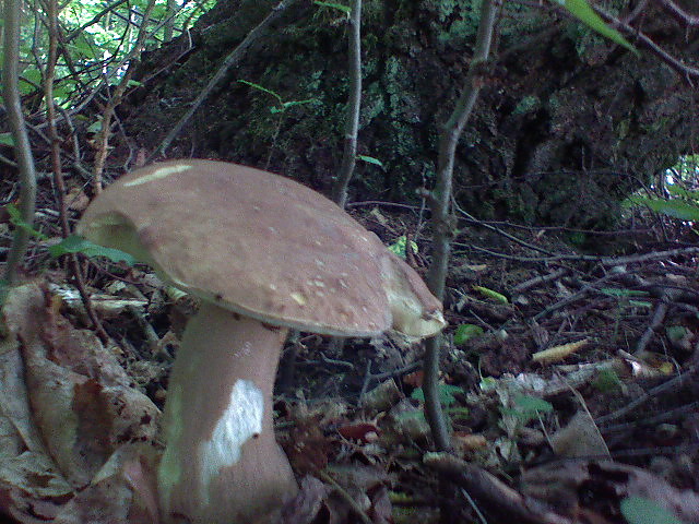 CZAS WAKACJI