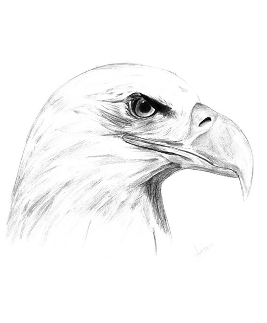 Oe