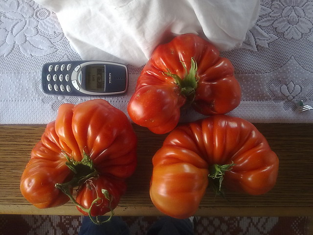 POMIDOROWO :D