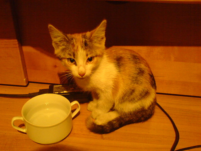 znajd :)