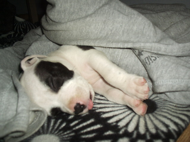 BaXter 