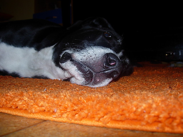 Byo :D