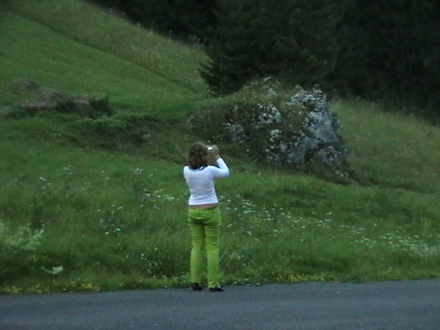 sowacja 2008r.