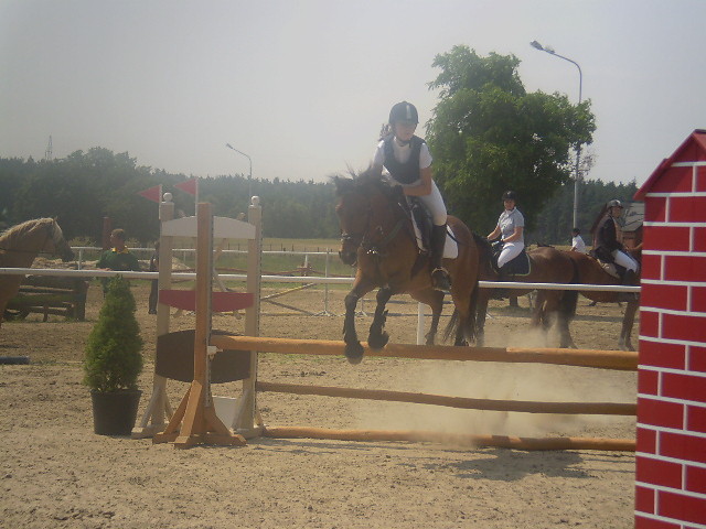 Drewniana przeszkoda.