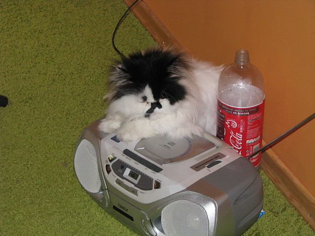 dj franek 