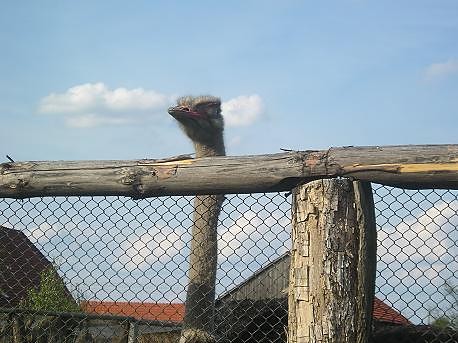 A oto moja zdobycz xd