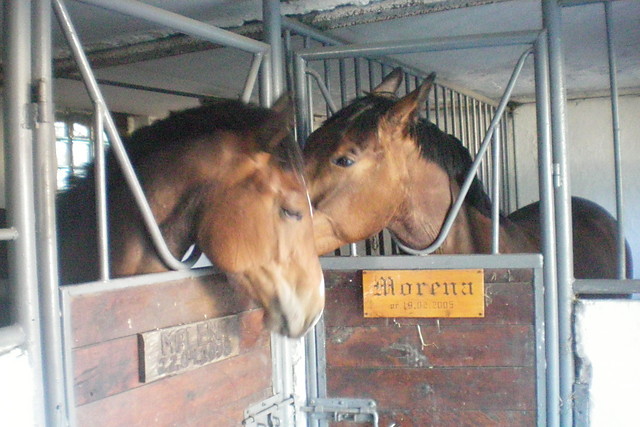 Morenu i Malenu