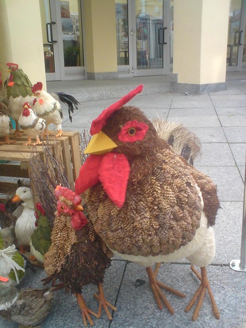 kura robiona recznie