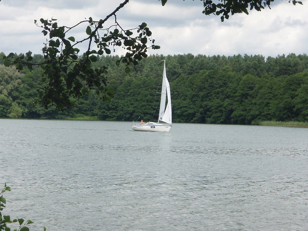 aglwka