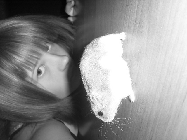 Bring me to Life .  ; - ****