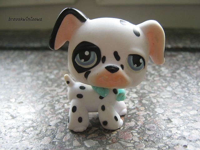 Pet Shop