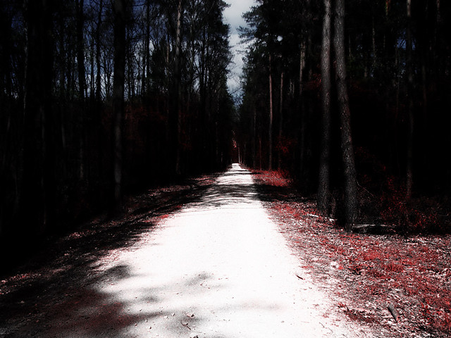 the red path