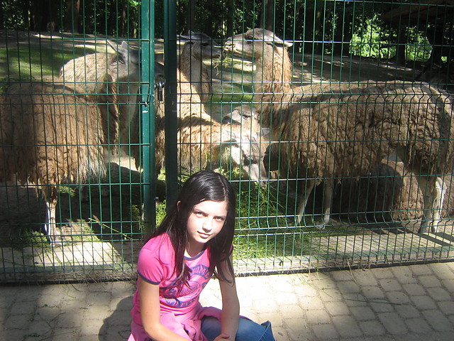 oooo ja i lamy hehe