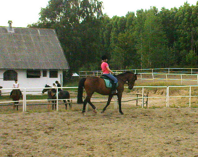 Hordynka :]