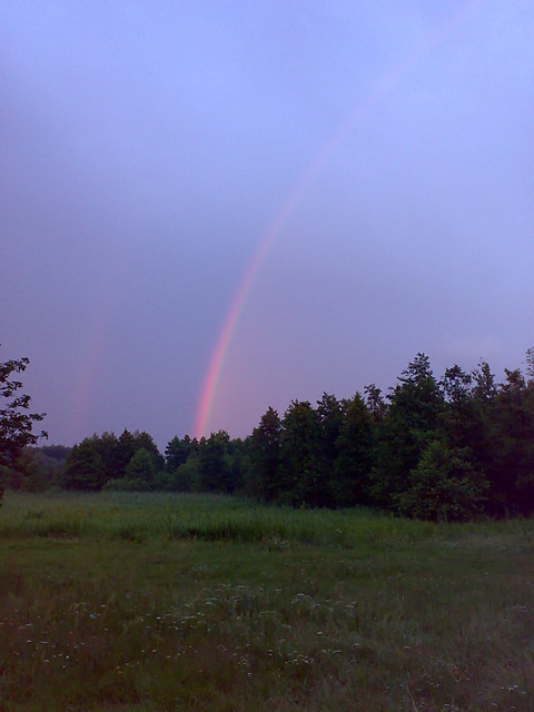 24.07.2009 - butelki;]