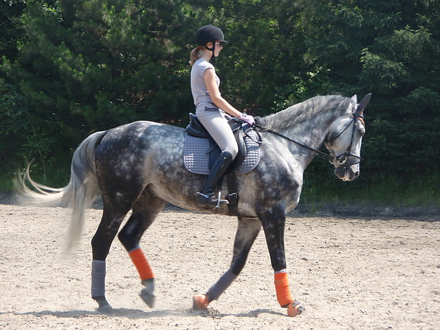 smoczus :P