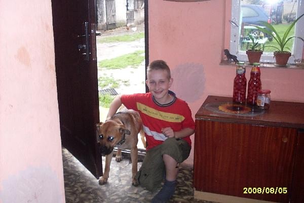 ja i mj pies