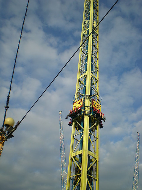 wiede 2oo8