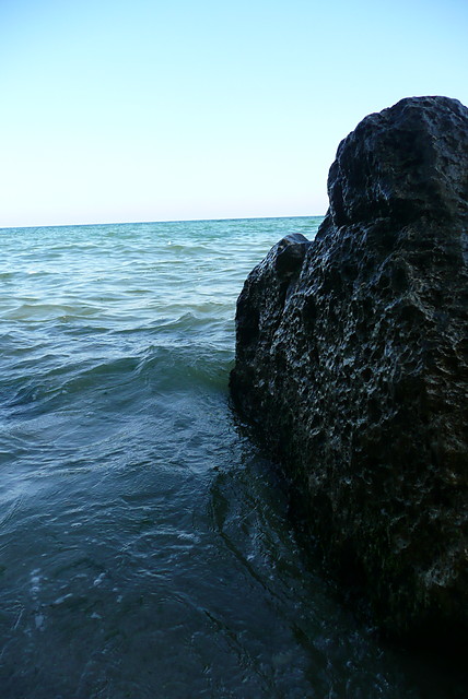 bugaria, kocie.