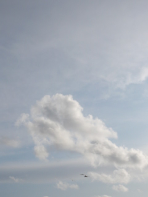 Sky