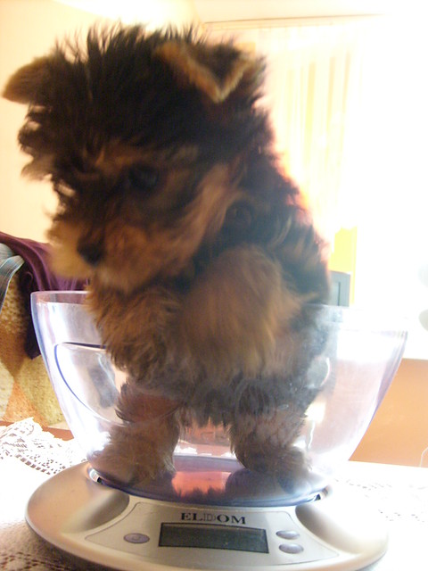 FIfi!xD
