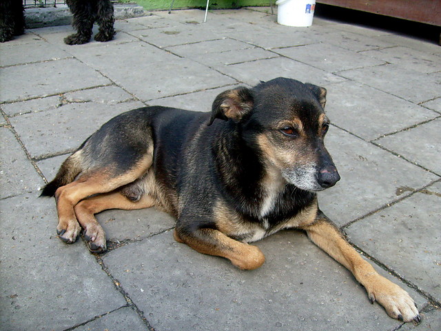 AKTUALNOCI
