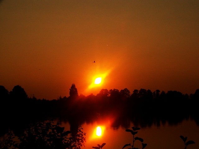Ciki upadek