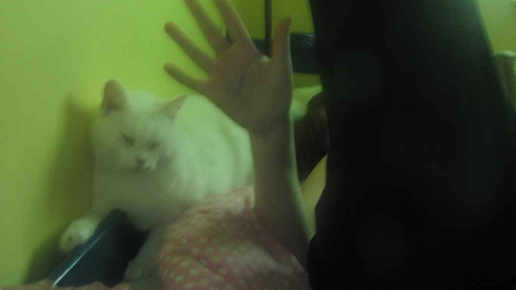 .miso2.