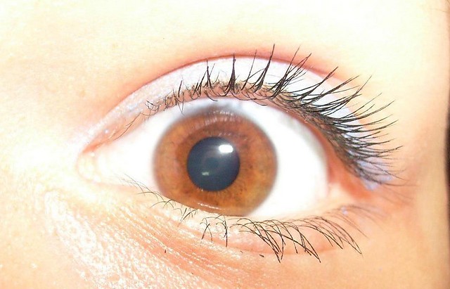 eye