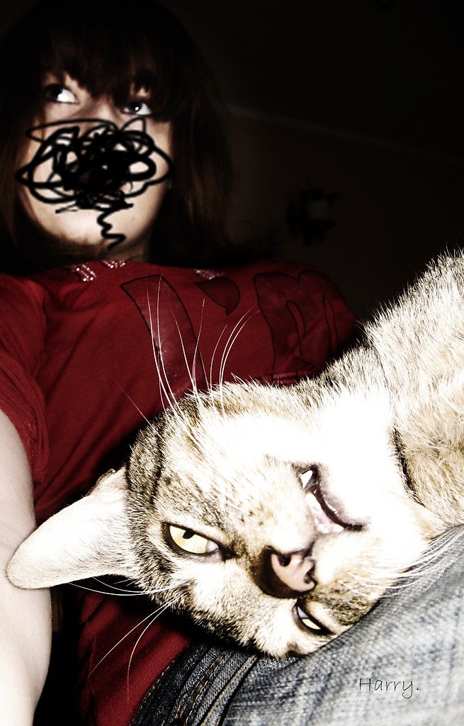 .kaloctwo.