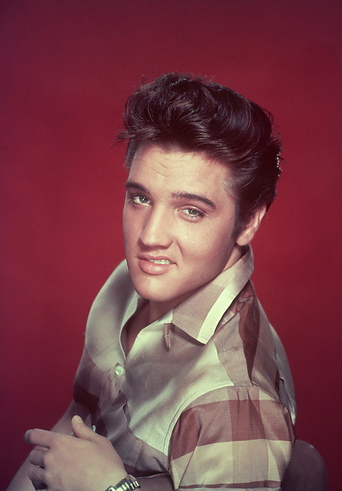 elviisz