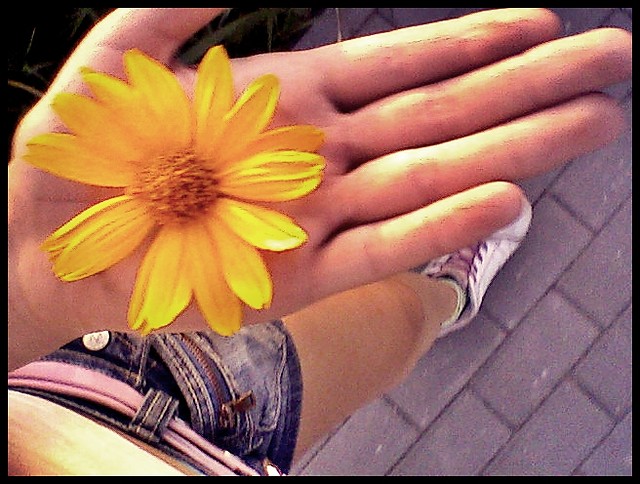 cos tam xd