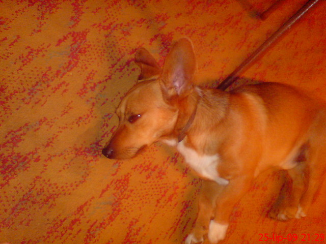 MAKSIU;*********