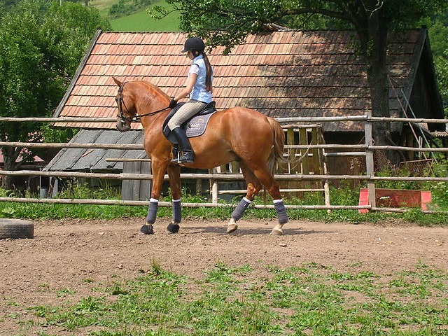 modziak ^^