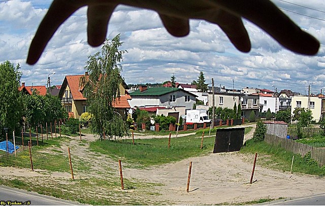 29.