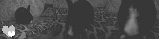 04.