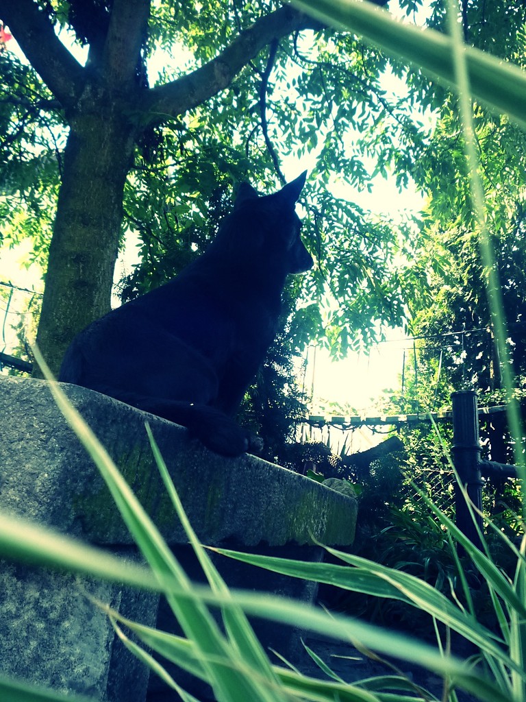Krecikowo..;p