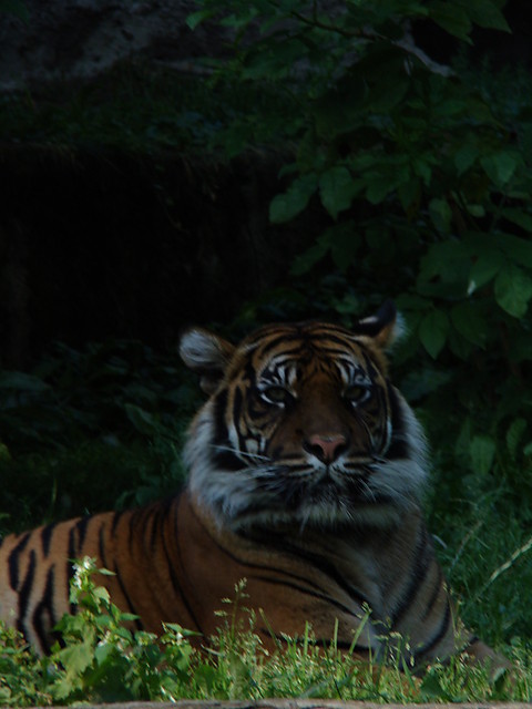 zoo  w   Warszawa