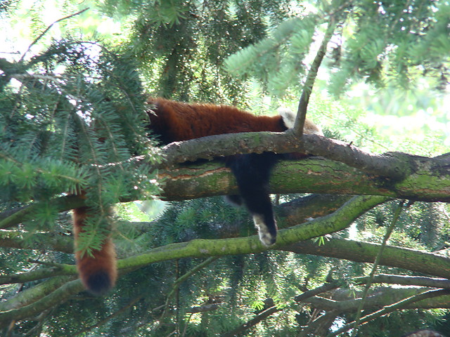 zoo  w   Warszawa   