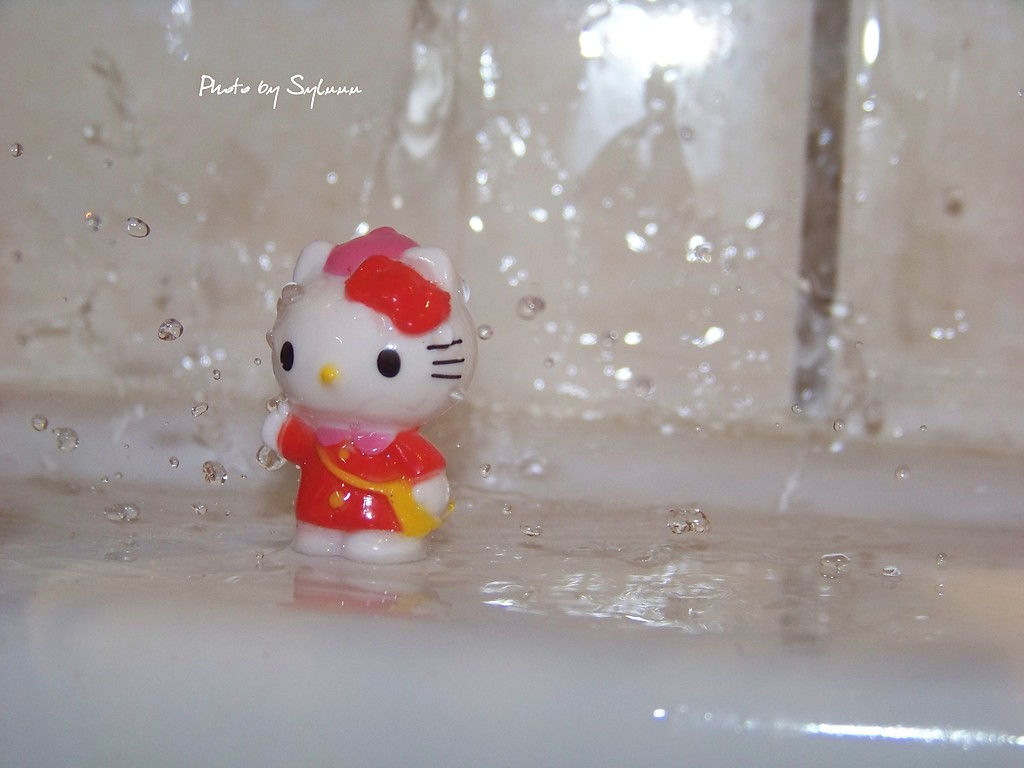 Hello kitty.