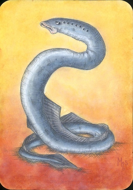 Mi  ng