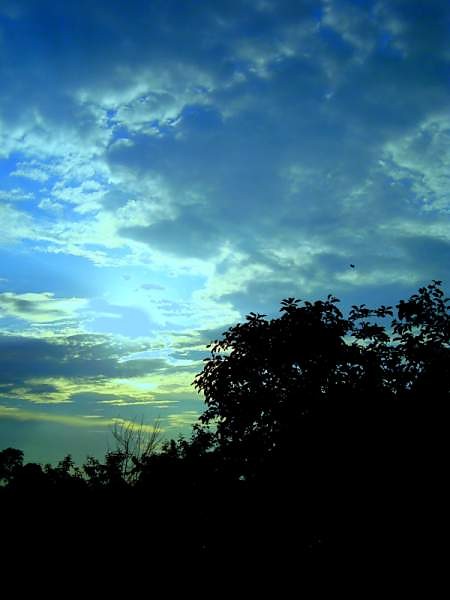 Nature