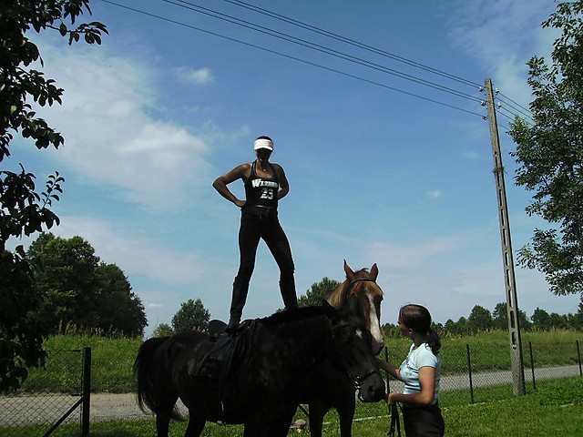spokojne koniki