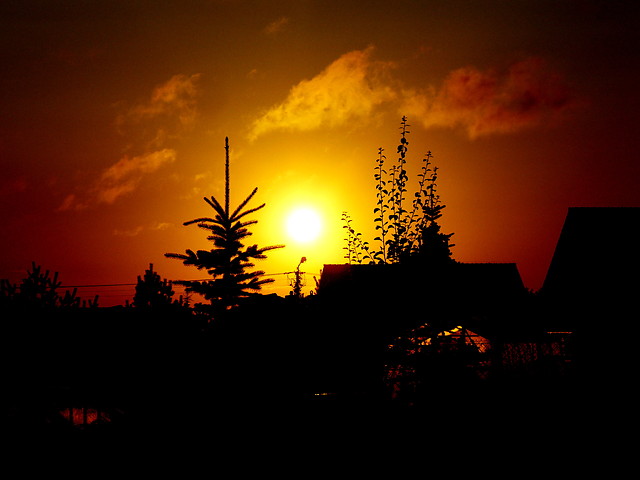 Midnight Sun.