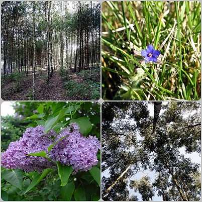 Natura ^^