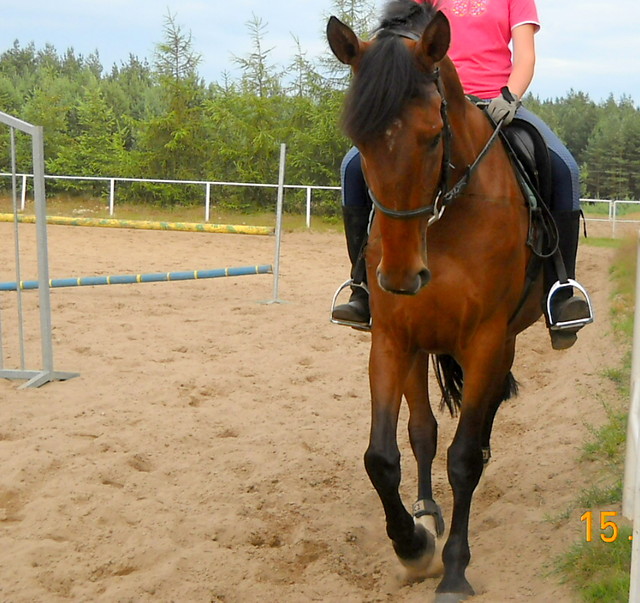 Hordi ;)