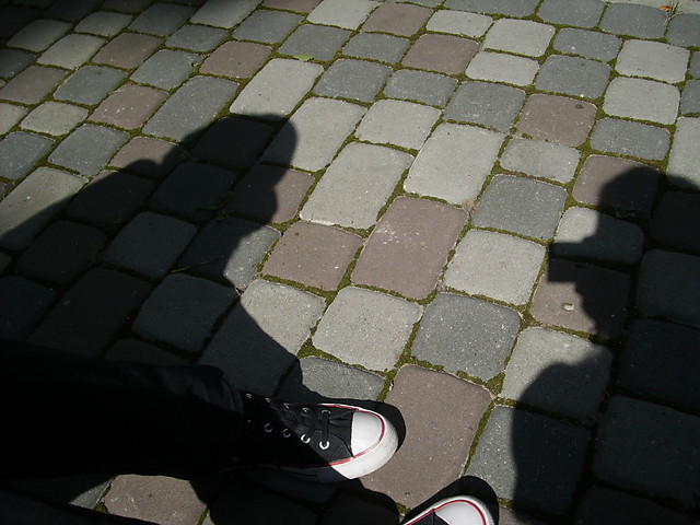 cienie. 