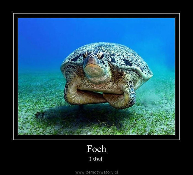 Foch i chuj ,,|,,