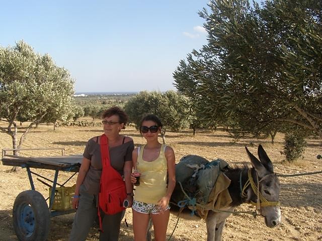 Olaj